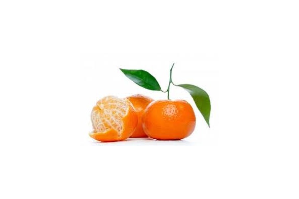mandarino_comune