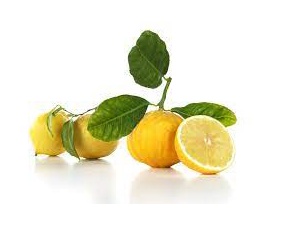 bergamotto