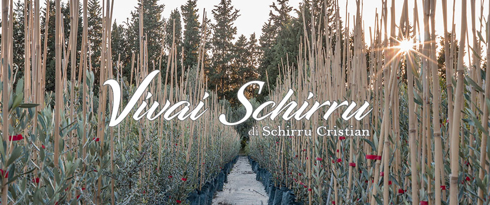 Vivai Schirru